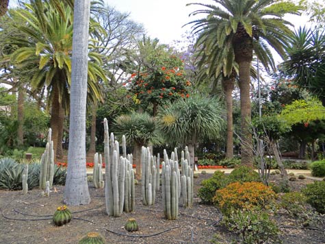 Tenerife Park